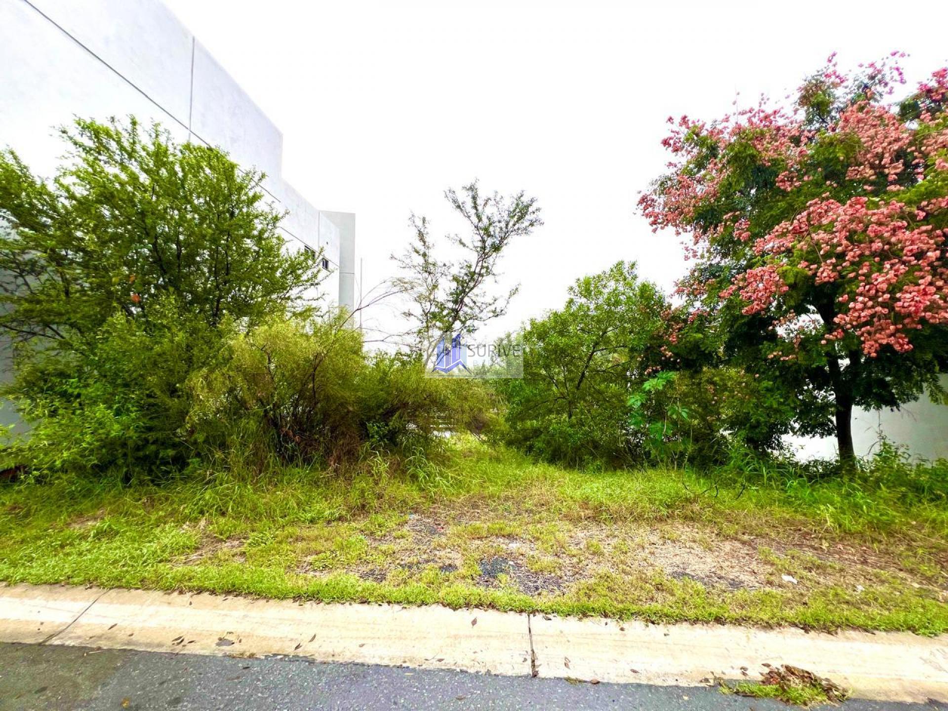 Terreno Residencial Carolco