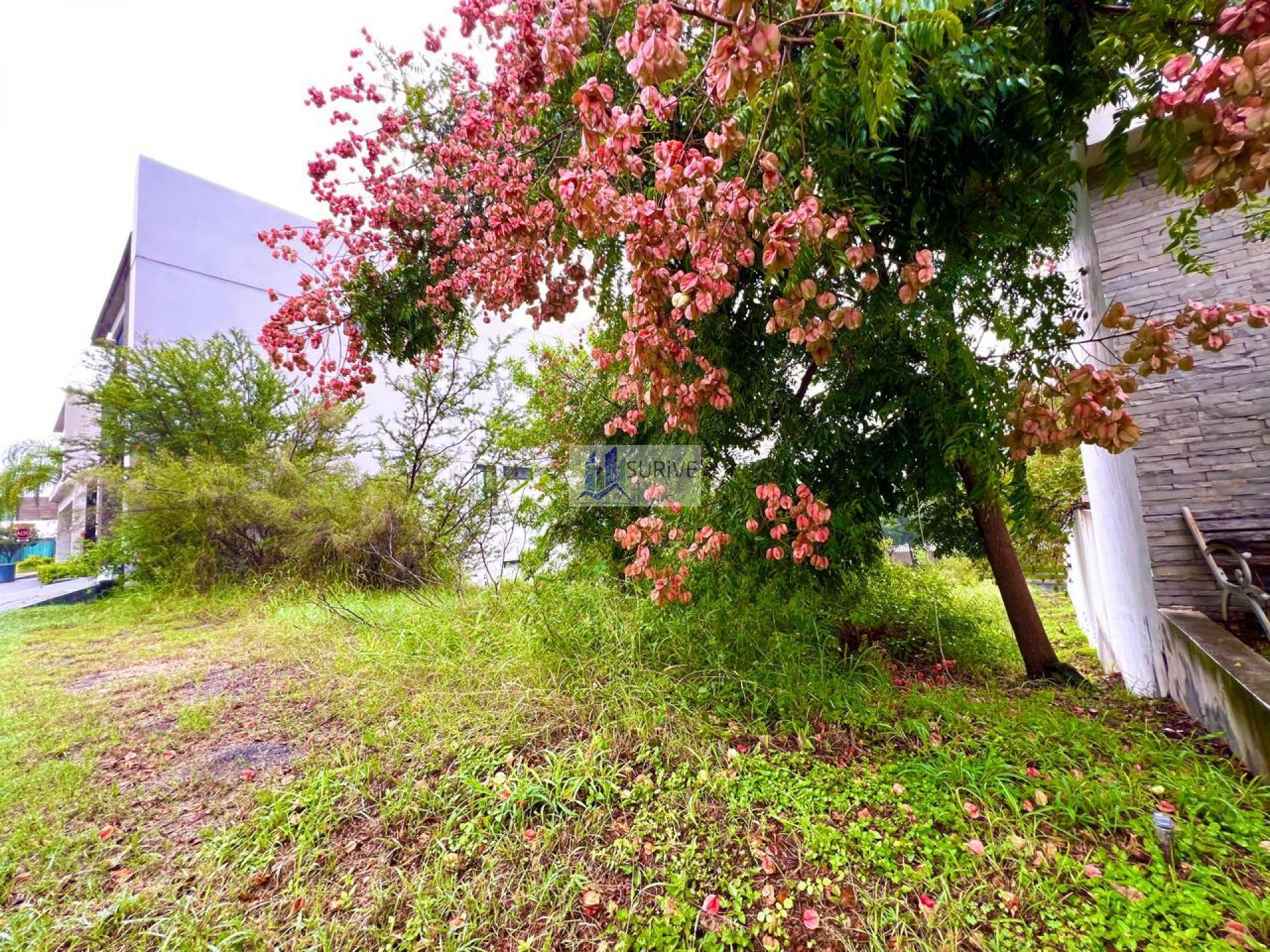 Terreno Residencial Carolco