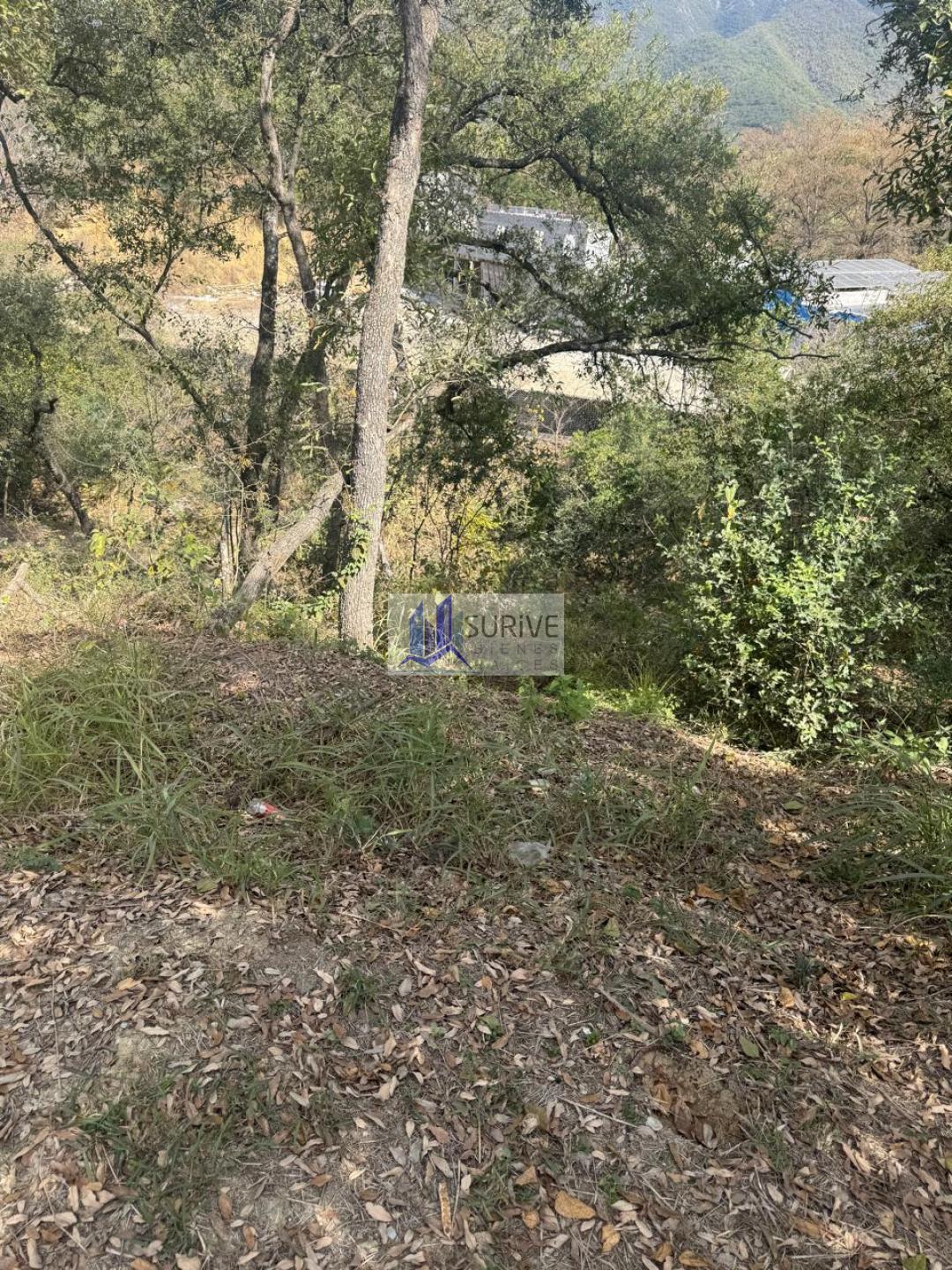 TERRENO EN VENTA EN ALTARES RESIDENCIAL