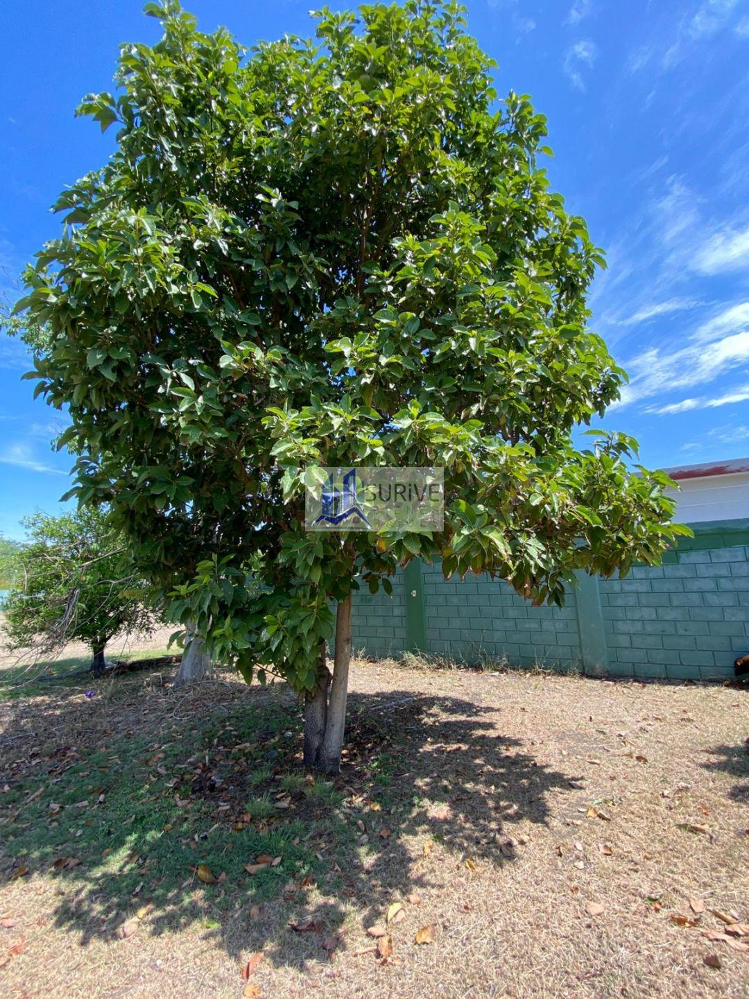 QUINTA HUERTA CAMPESTRE EN VENTA CADEREYTA JIMENEZ