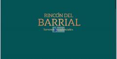 TERRENOS RINCON DEL BARRIAL