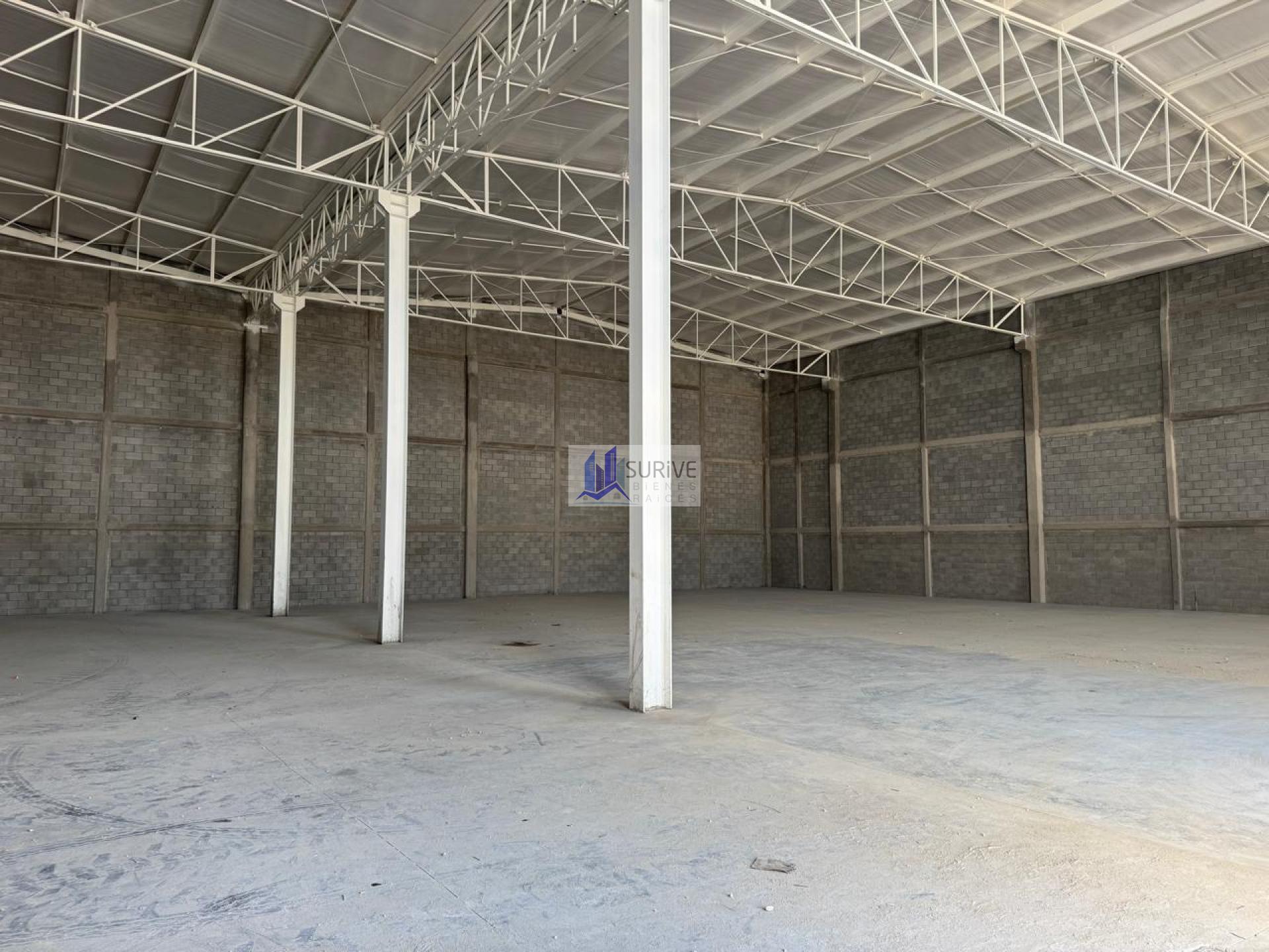 BODEGA EN APODACA