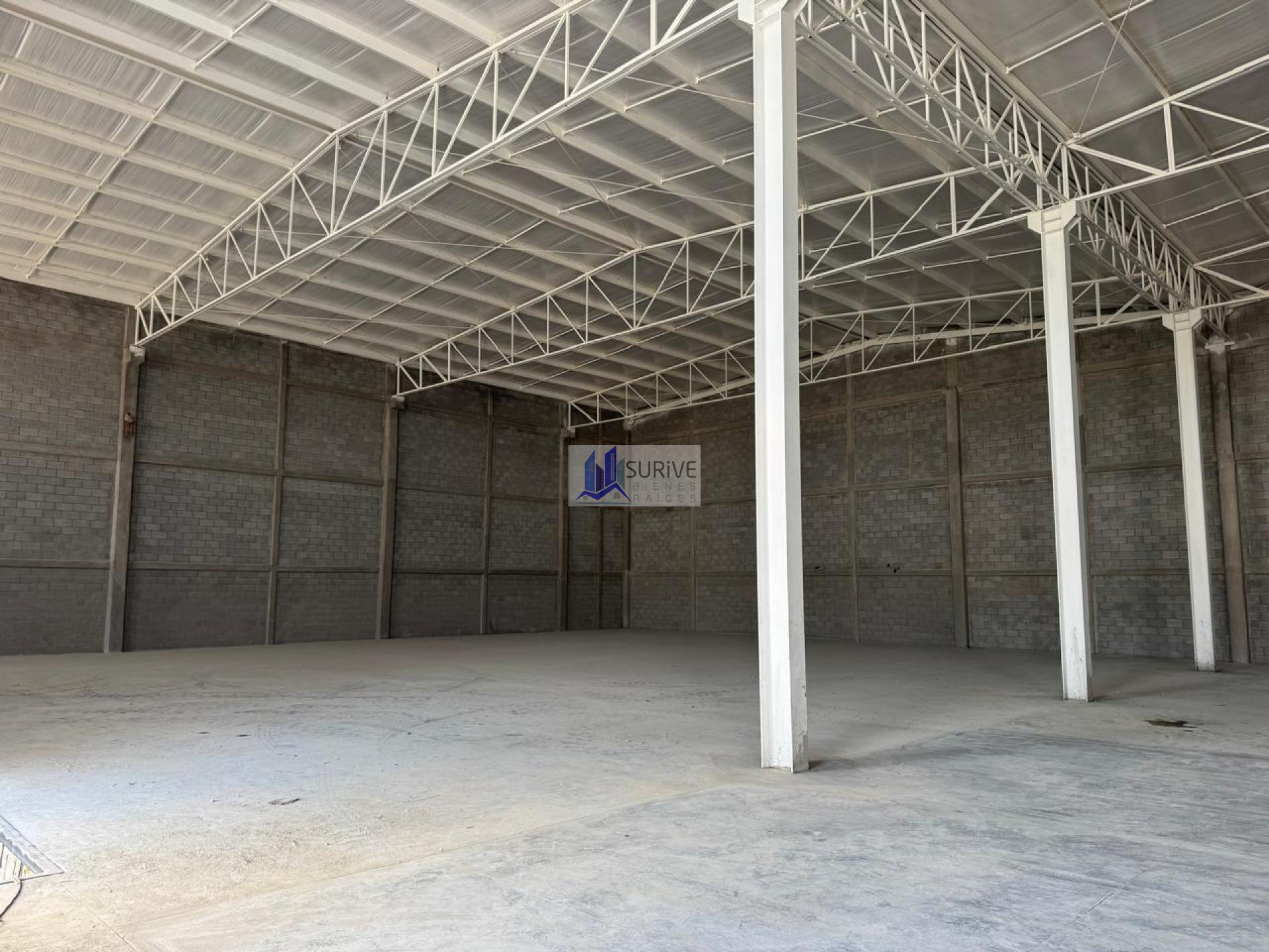 BODEGA EN APODACA
