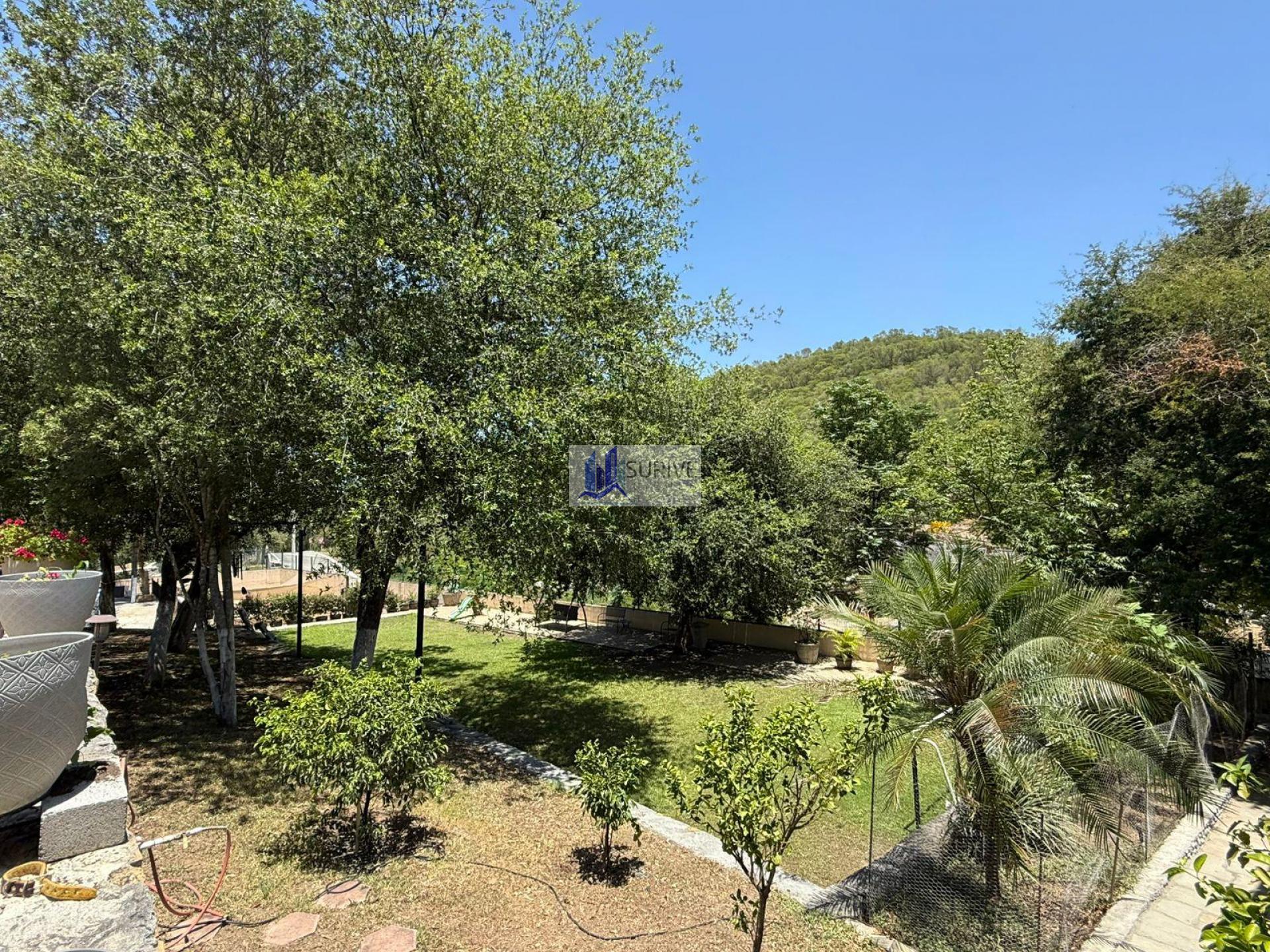 Quinta Allende