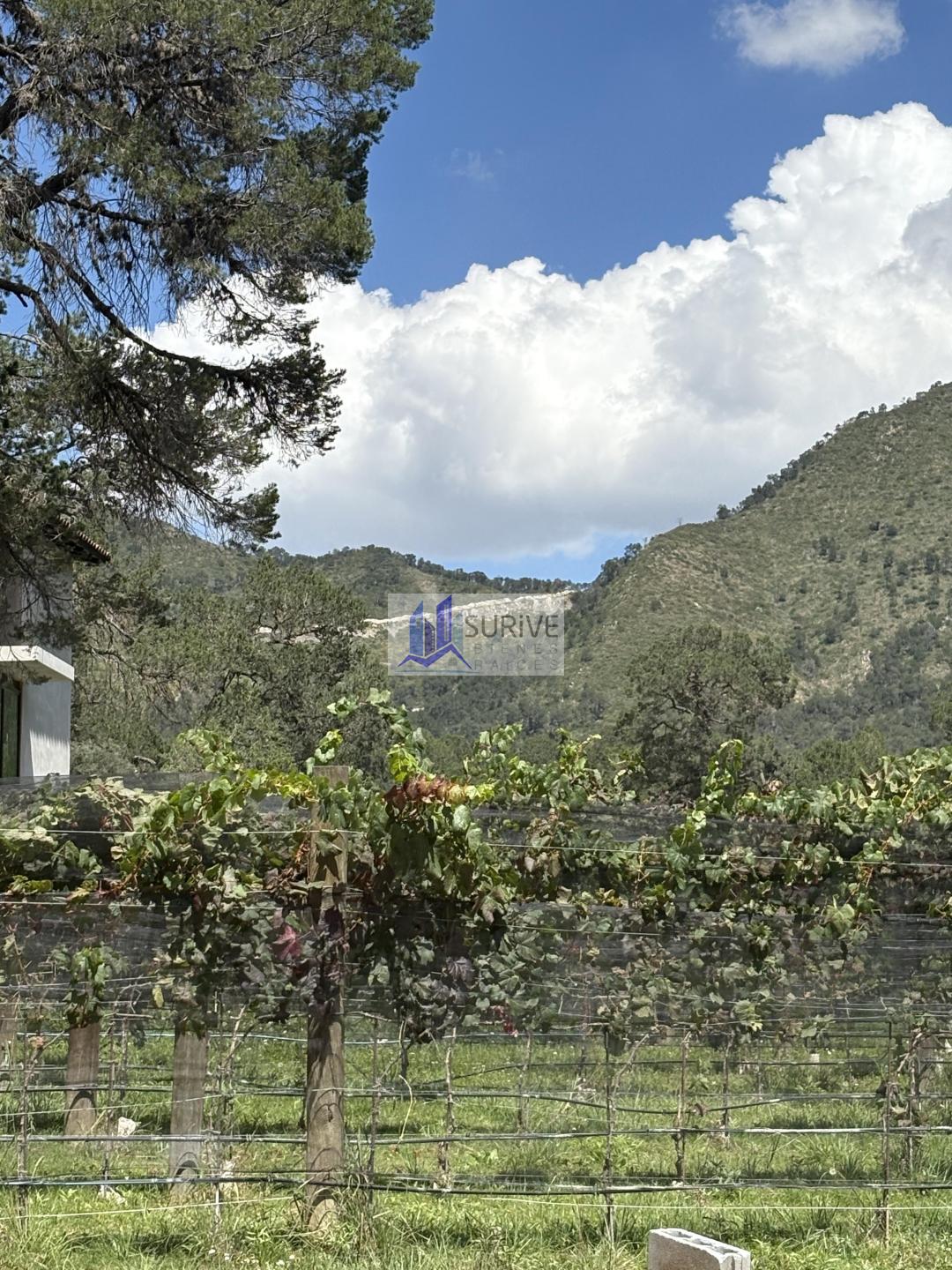 Terreno Terra Serena
