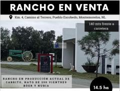 Rancho en Venta