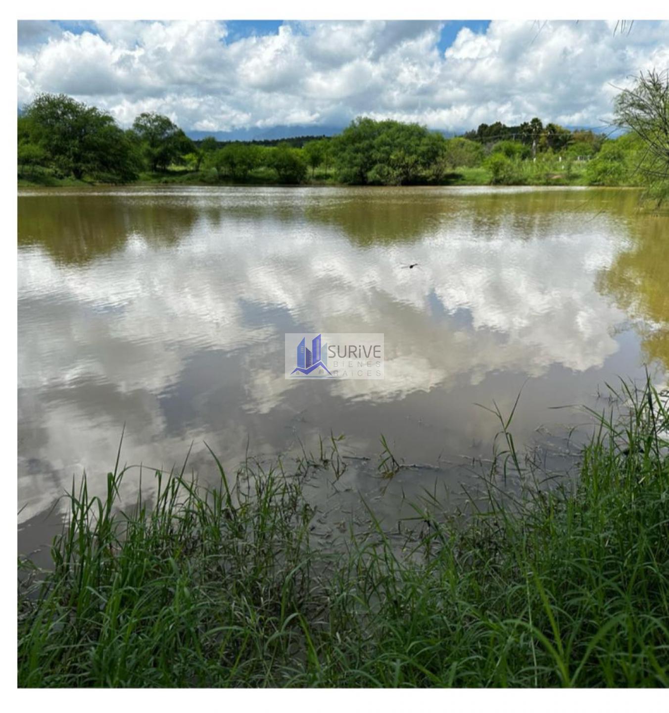 Rancho en Venta