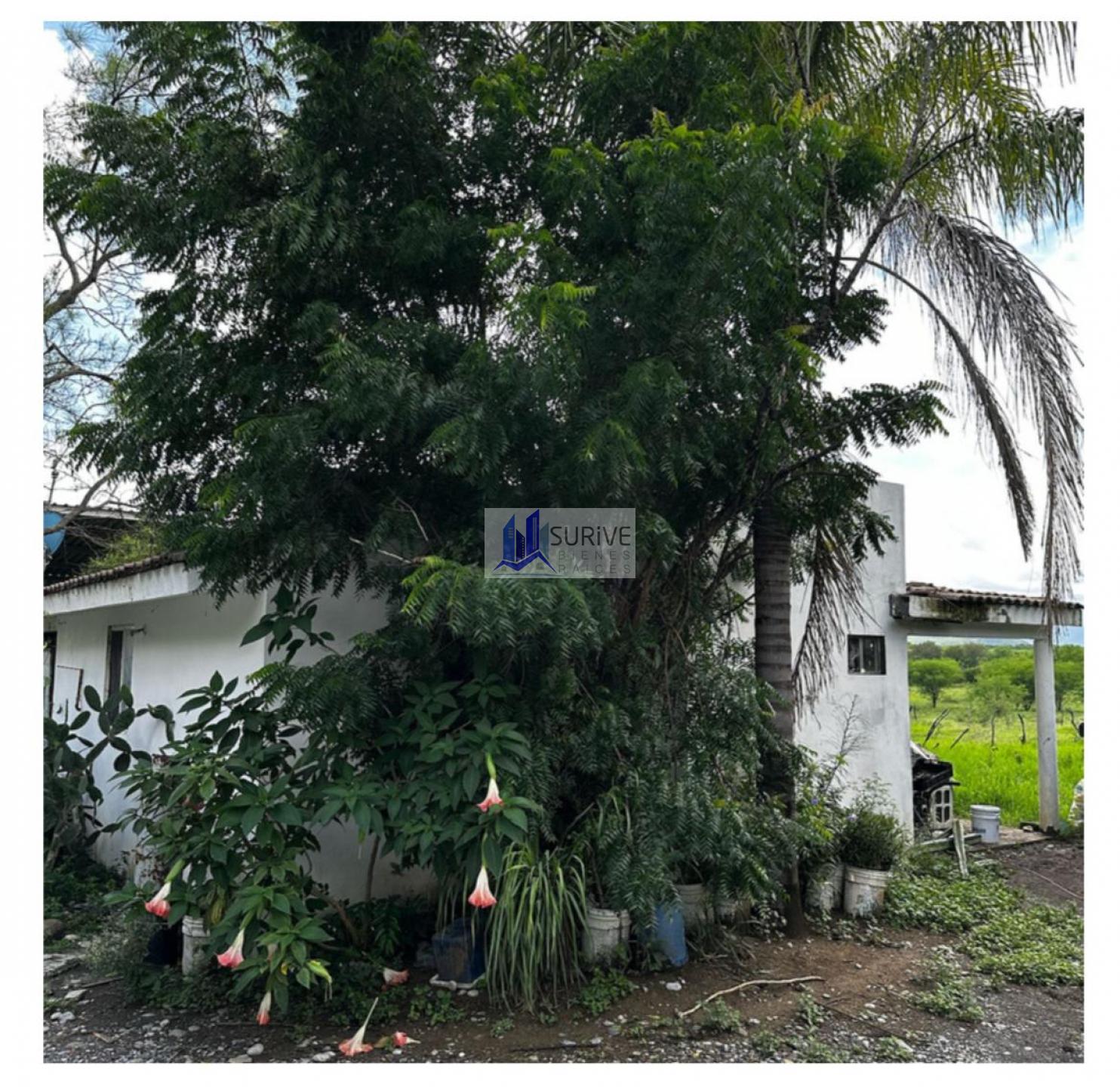 Rancho en Venta