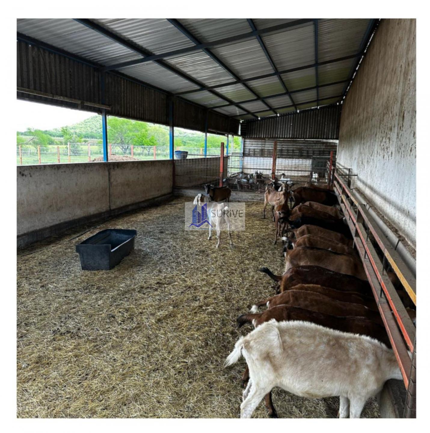 Rancho en Venta
