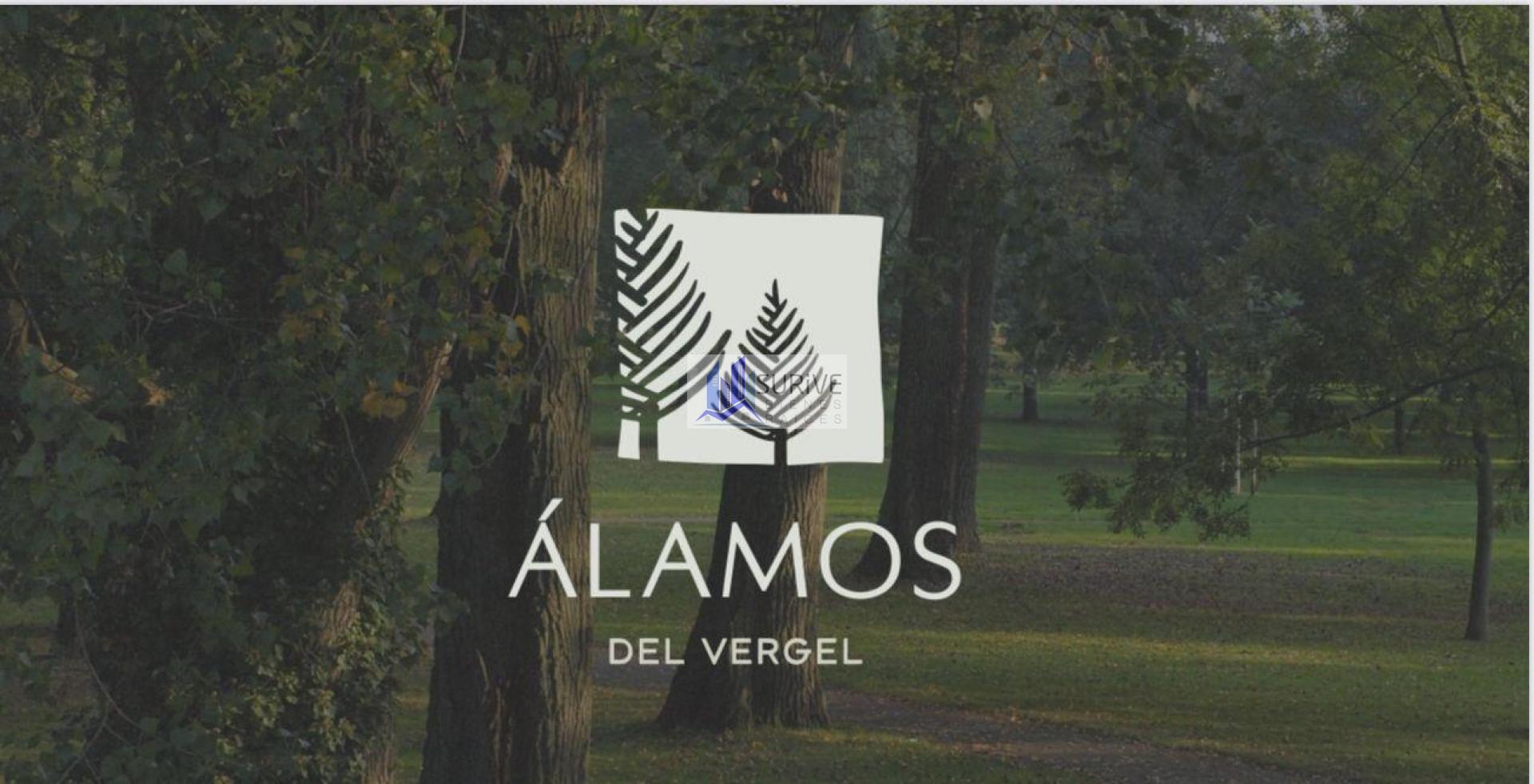 2 TERRENOS en ÁLAMO DEL VERGEL