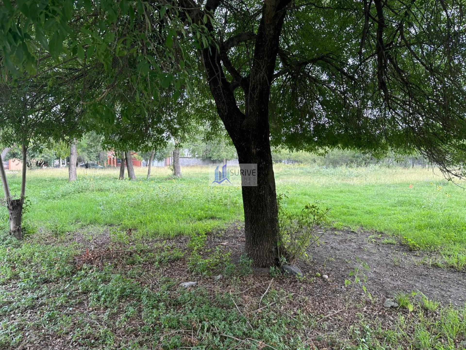 TERRENO EN VENTA EN MONTEMORELOS