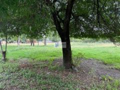 TERRENO EN VENTA EN MONTEMORELOS