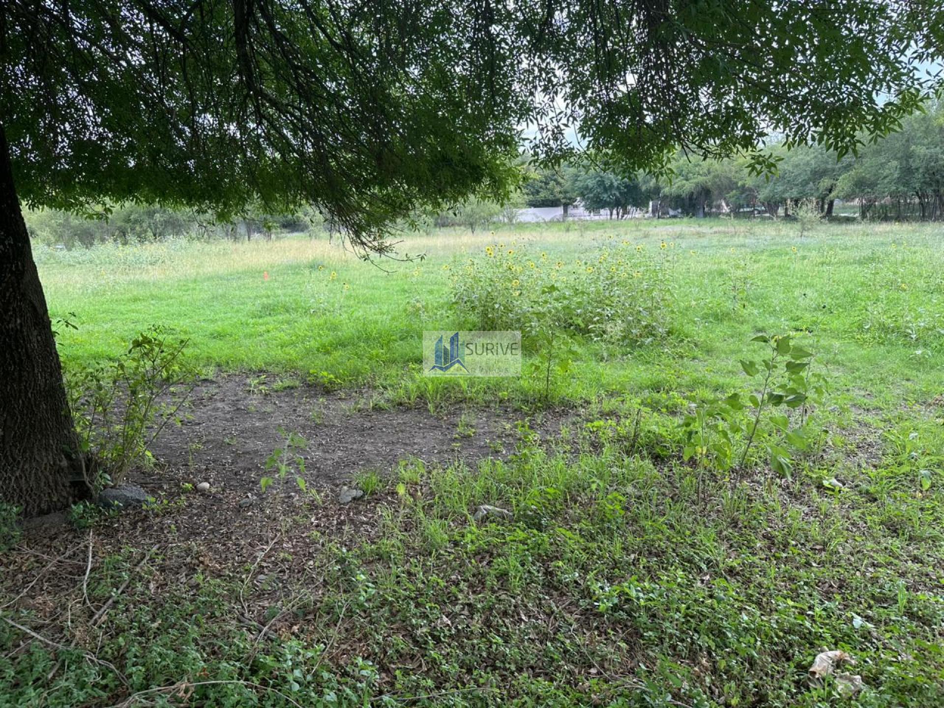 TERRENO EN VENTA EN MONTEMORELOS