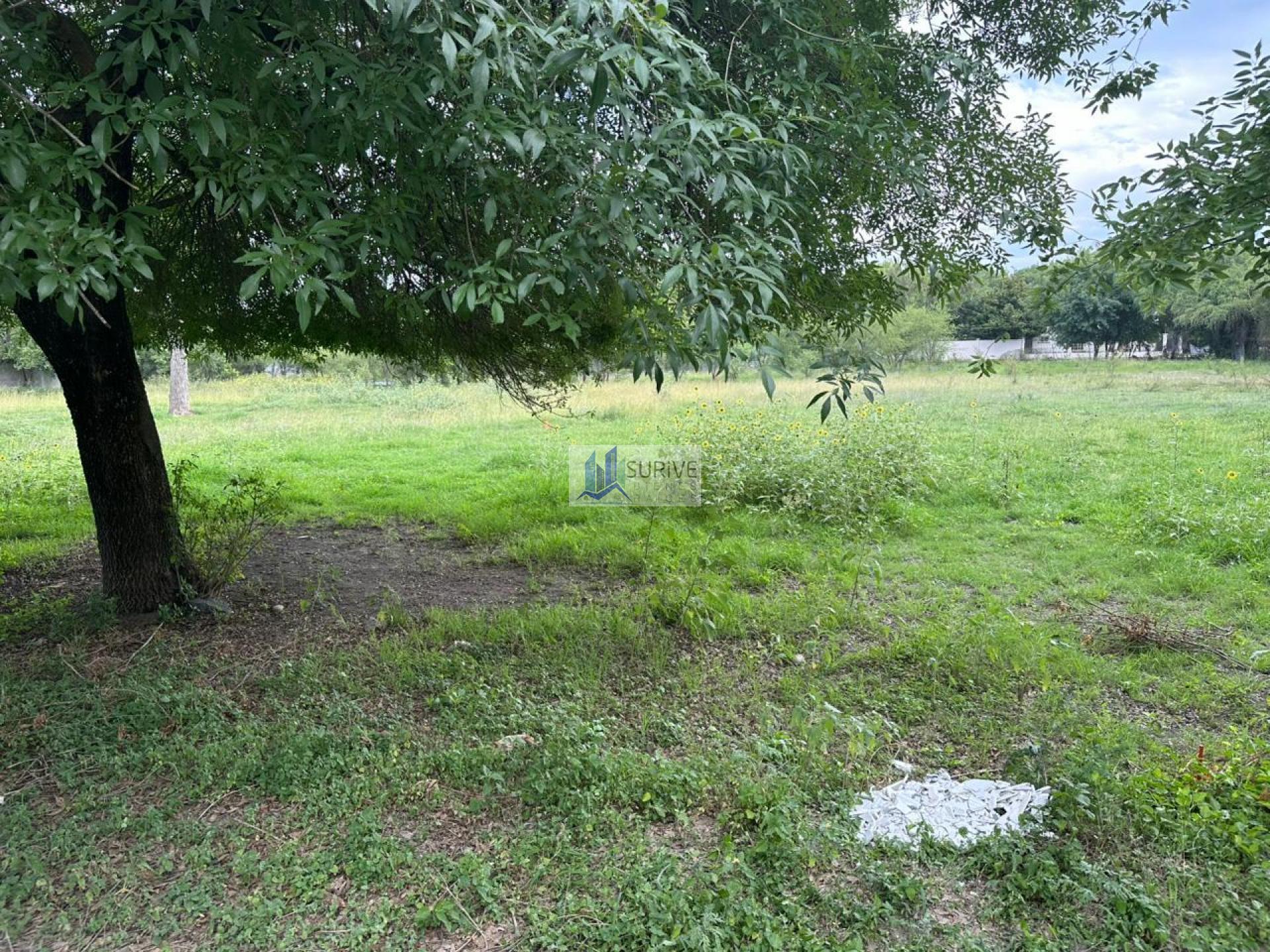 TERRENO EN VENTA EN MONTEMORELOS