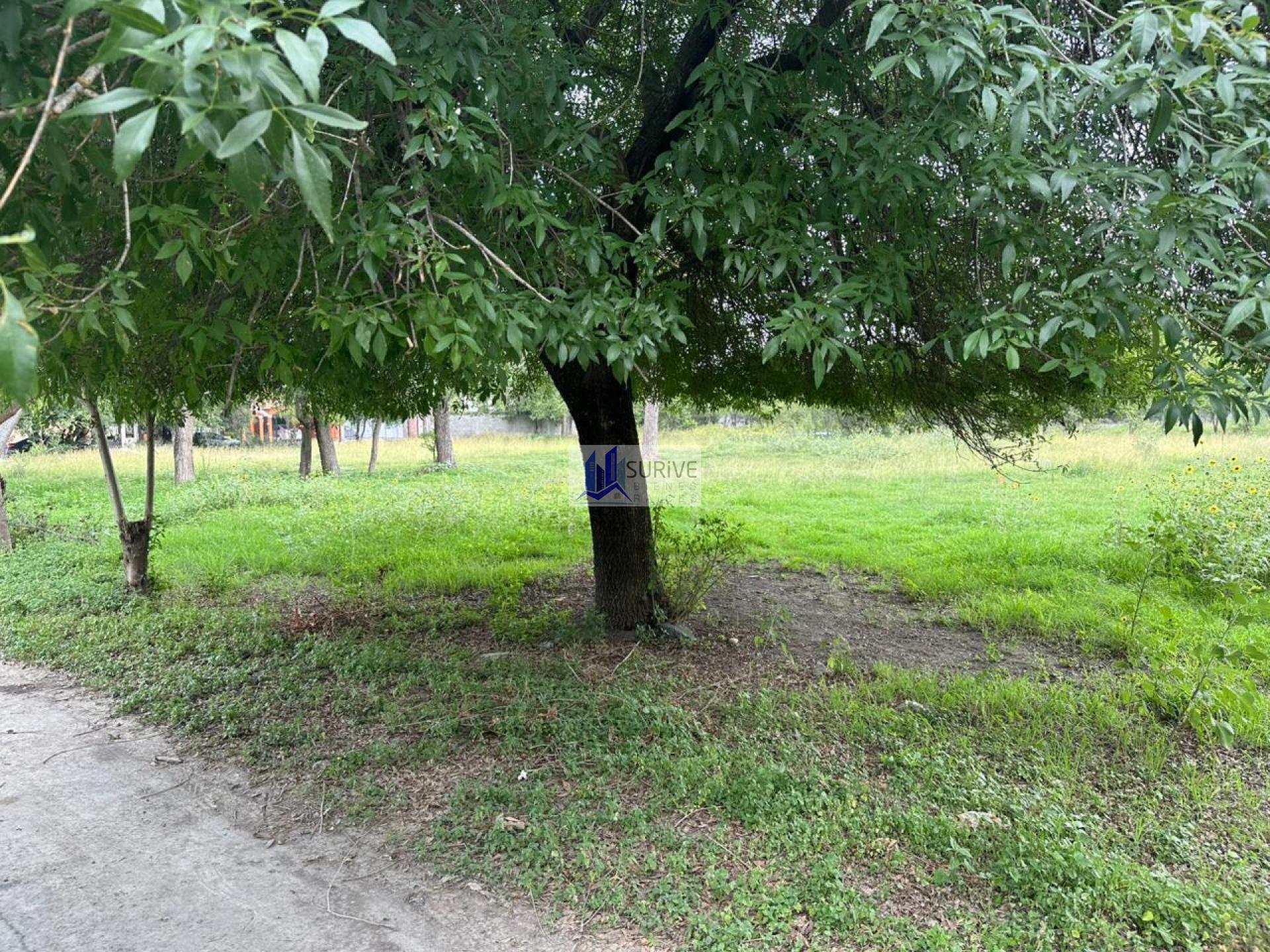 TERRENO EN VENTA EN MONTEMORELOS