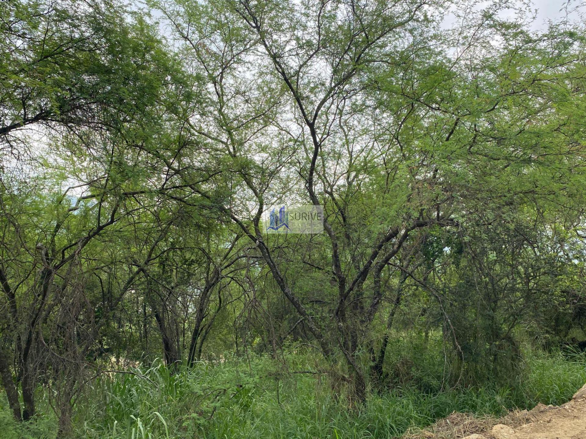 TERRENO COMERCIAL ZONA SUR CARRETERA NACIONAL MONTERREY