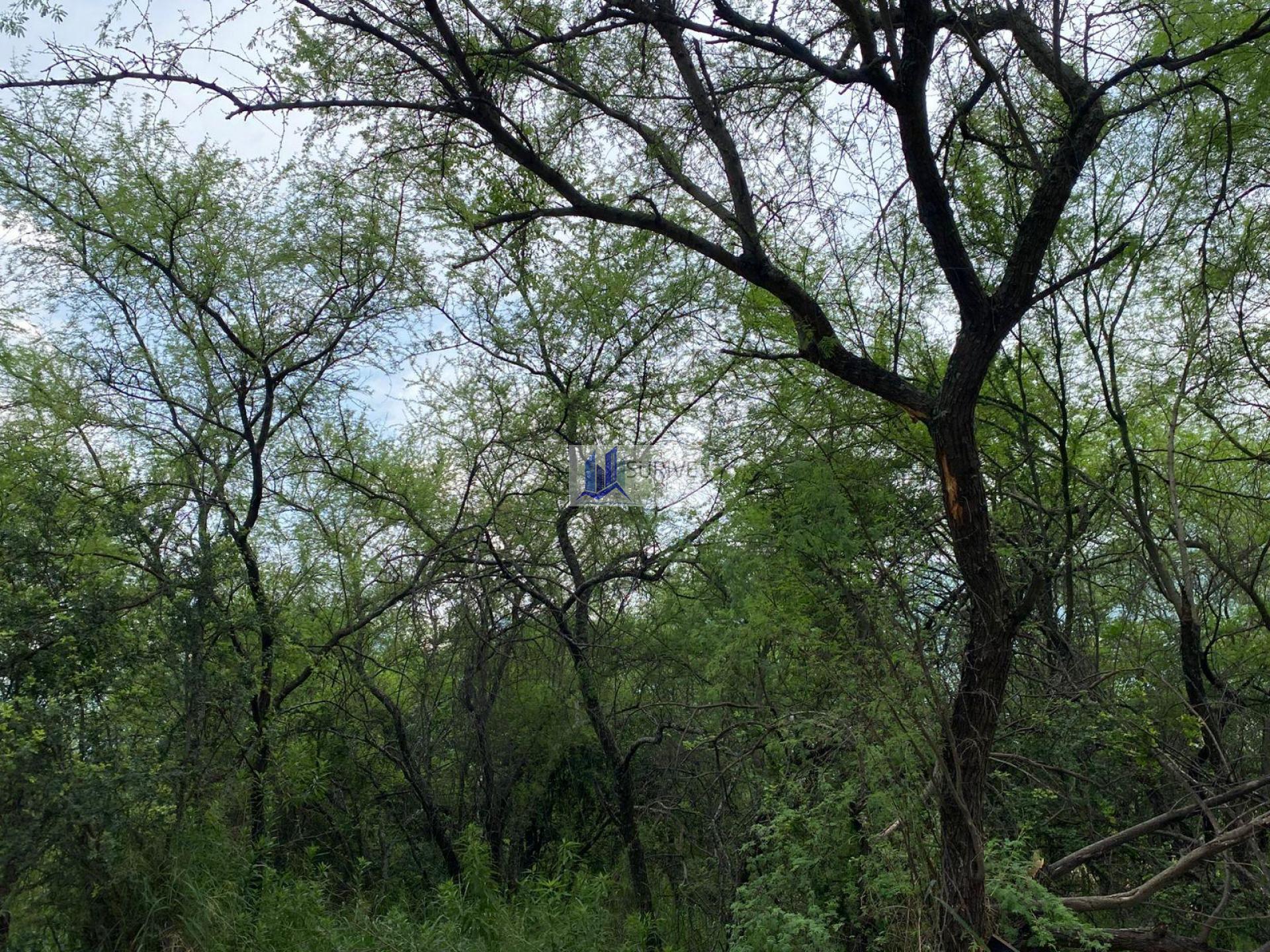 TERRENO COMERCIAL ZONA SUR CARRETERA NACIONAL MONTERREY