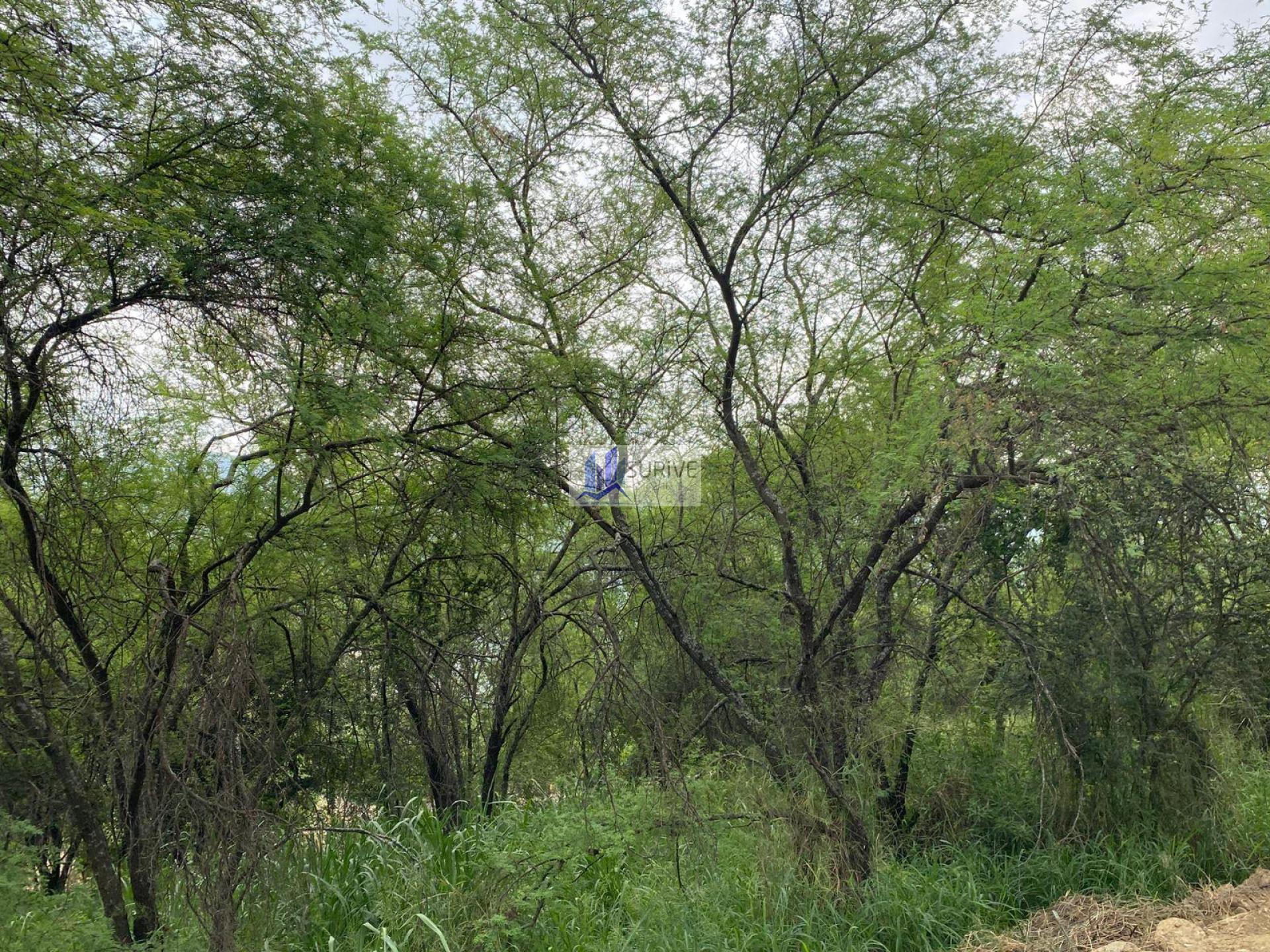 TERRENO COMERCIAL ZONA SUR CARRETERA NACIONAL MONTERREY