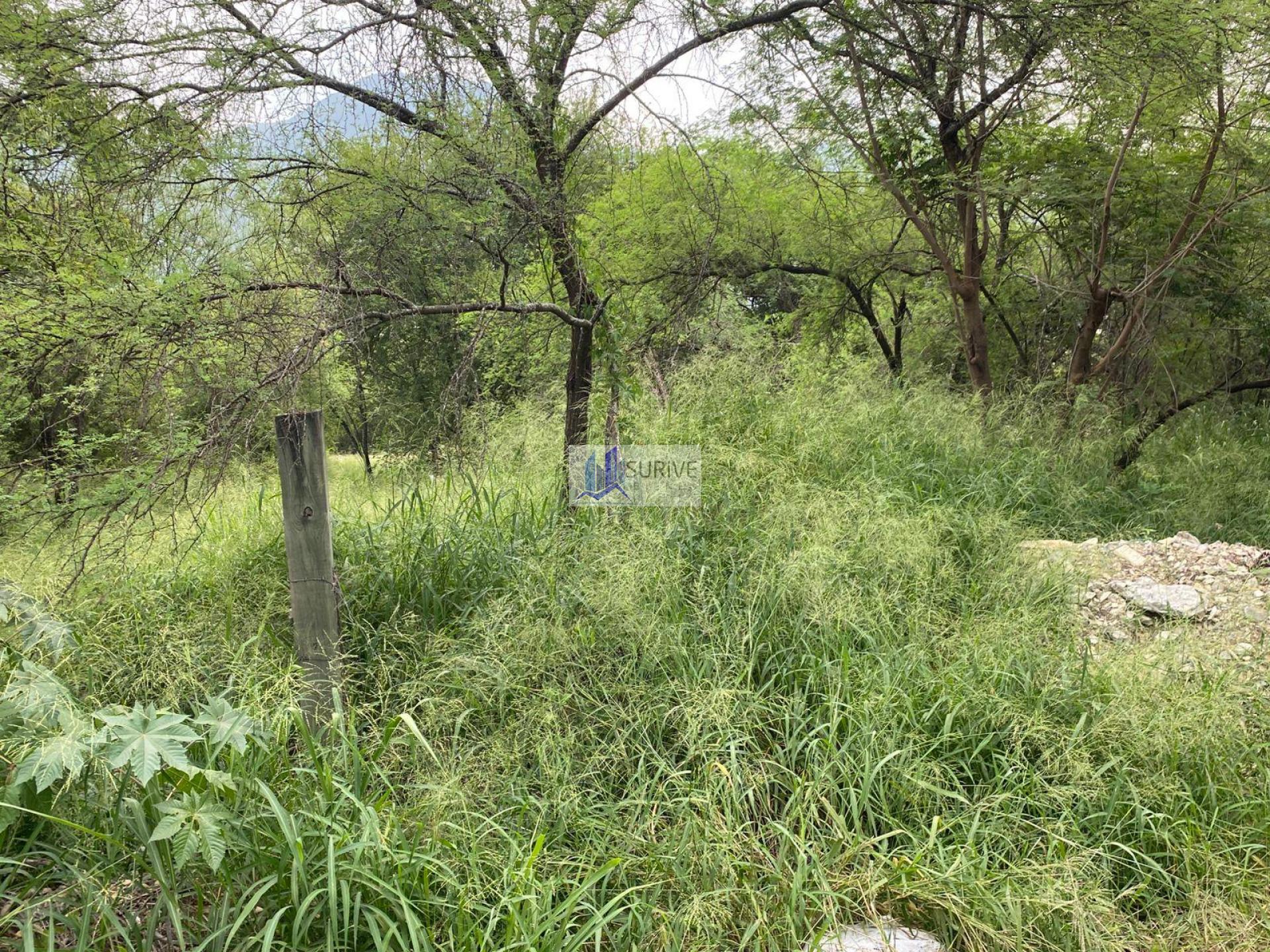 TERRENO COMERCIAL ZONA SUR CARRETERA NACIONAL MONTERREY