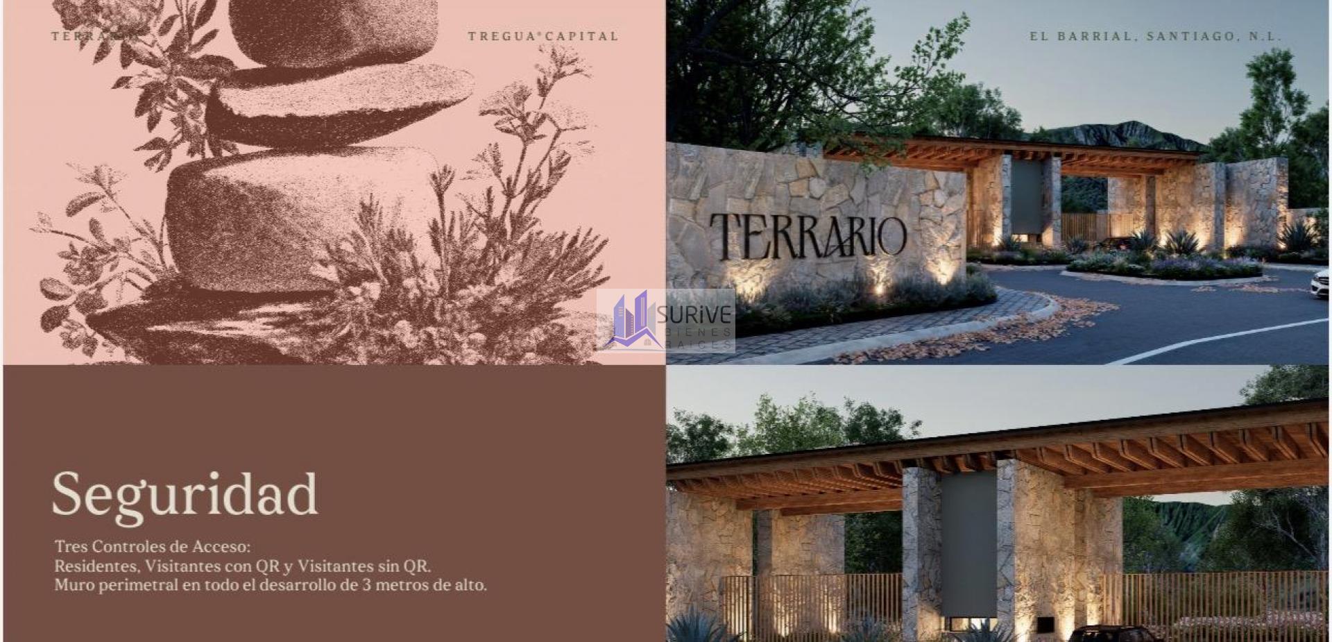 TERRENOS TERRARIO