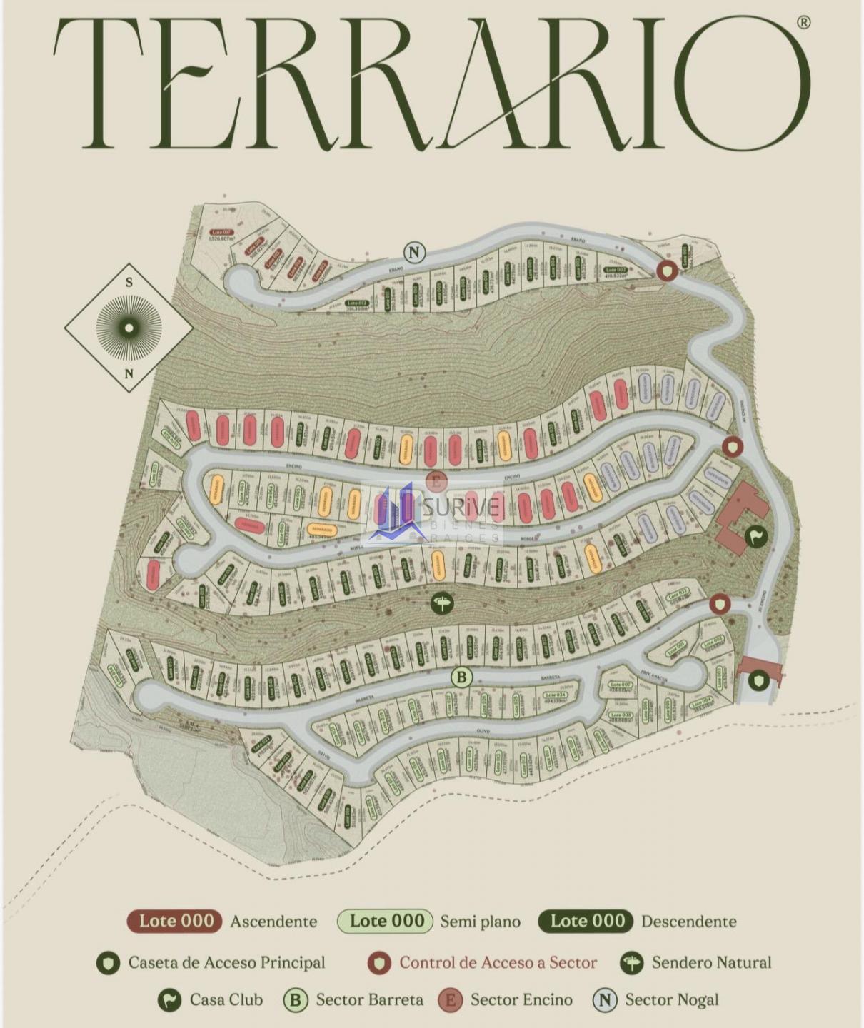 TERRENOS TERRARIO