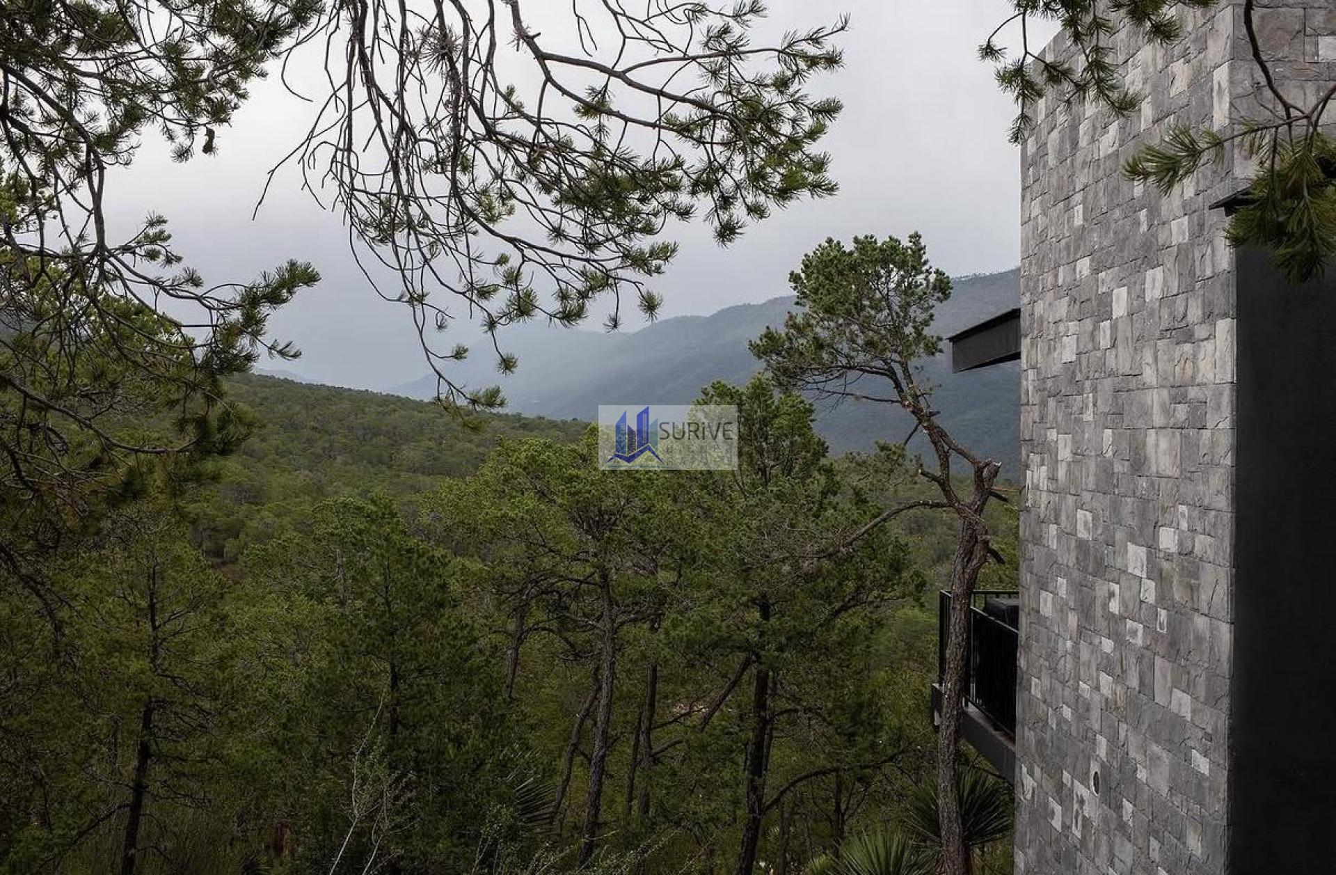 Bosque Boreal