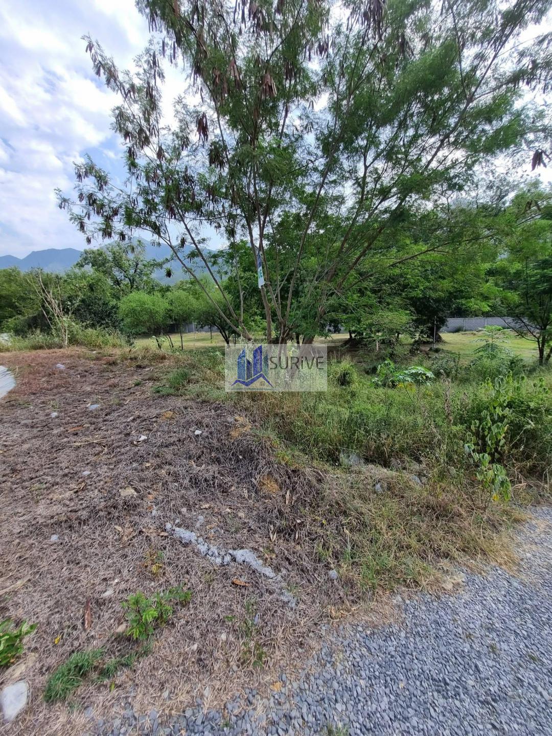 TERRENO EN VENTA CARRETERA NACIONAL