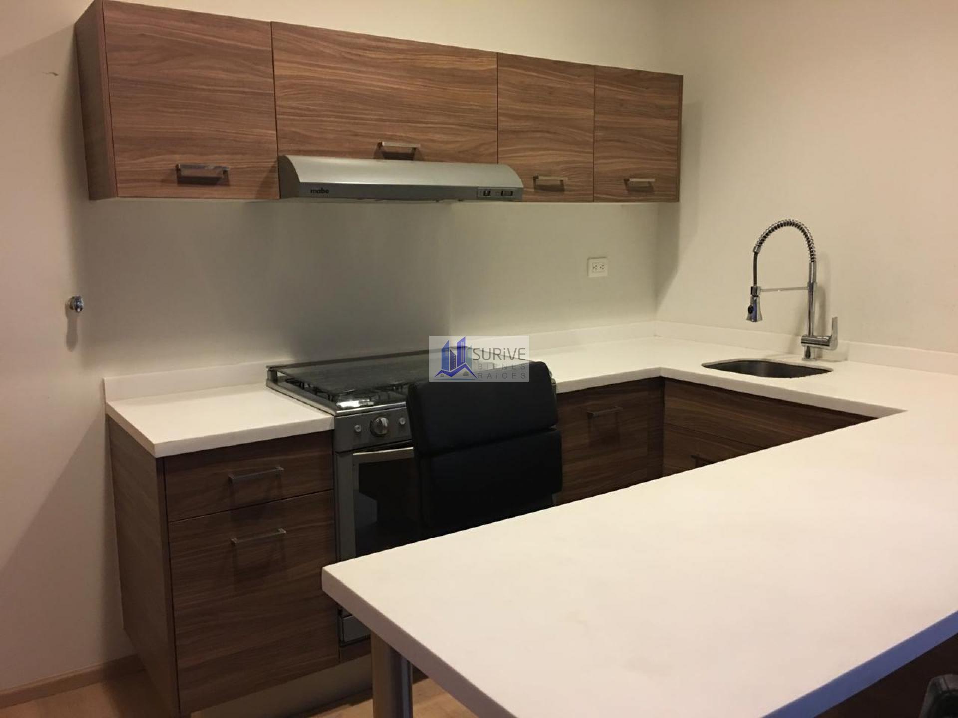 Departamento en renta Nuevo Sur