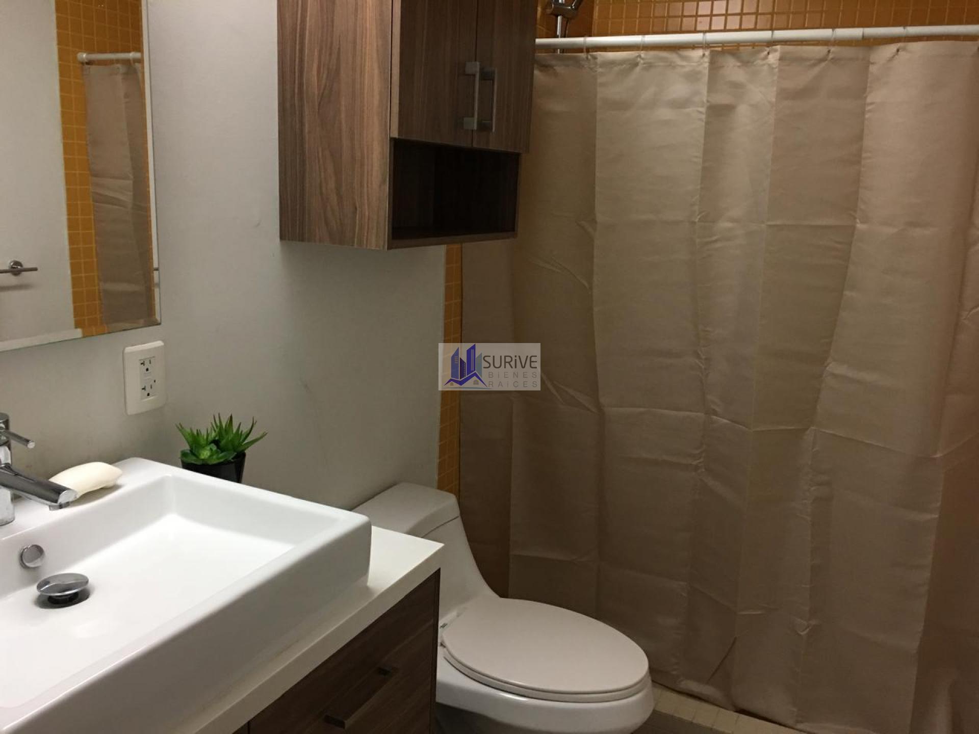 Departamento en renta Nuevo Sur