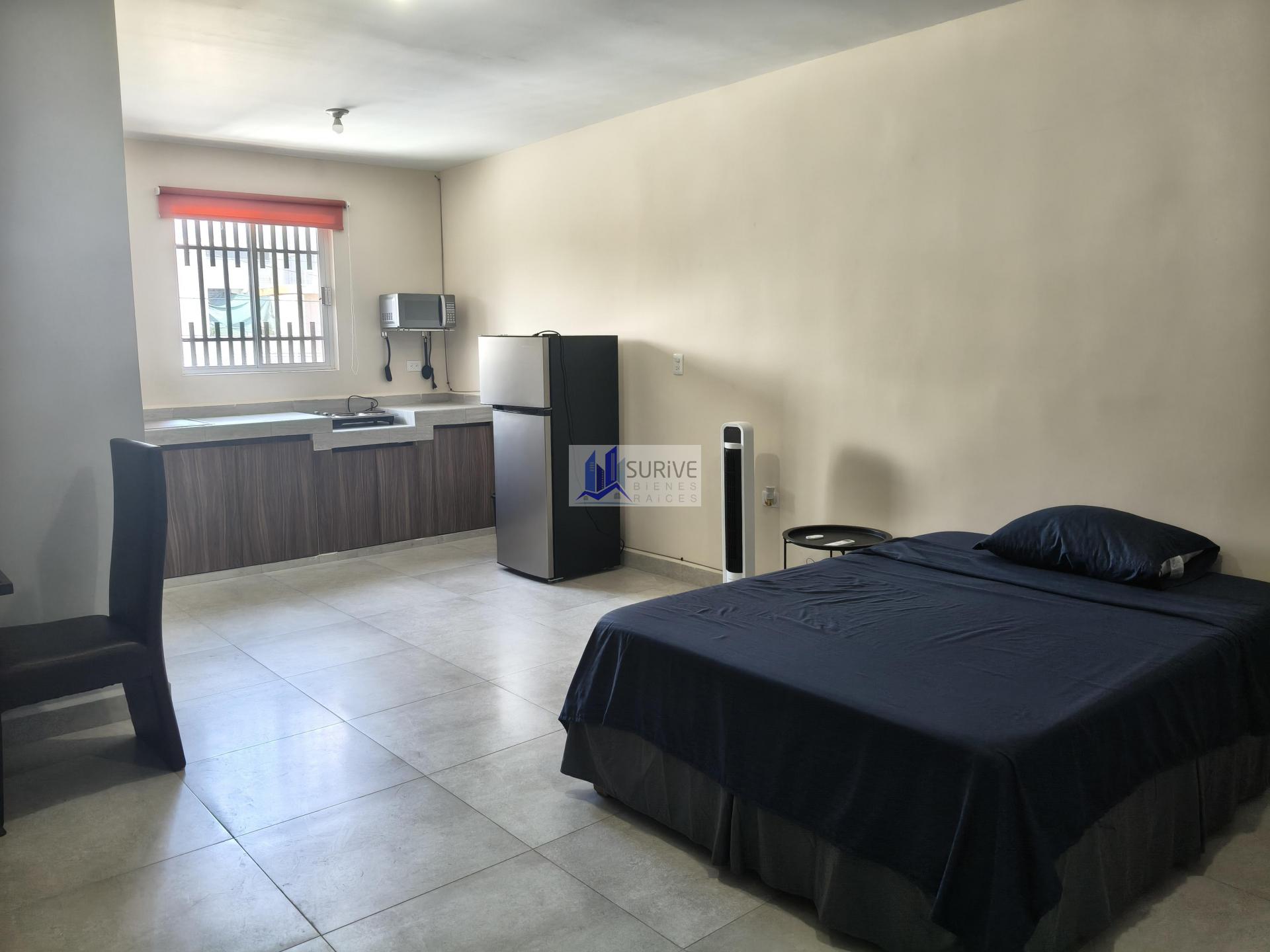 Renta de Departamentos Tipo Loft.