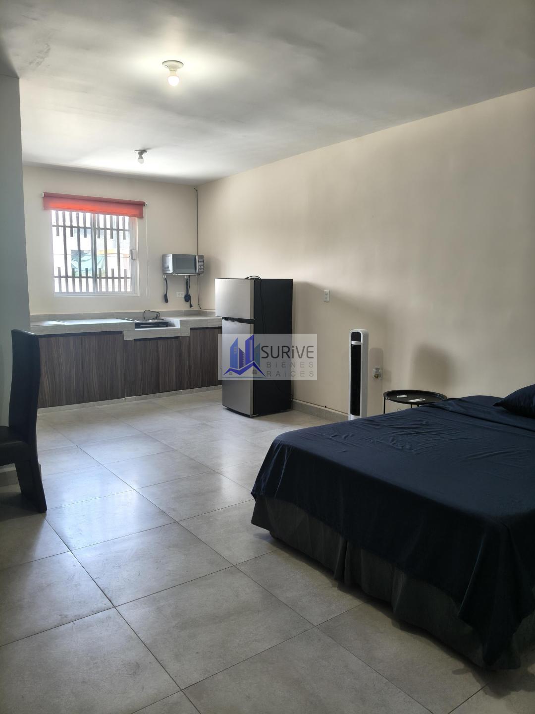 Renta de Departamentos Tipo Loft.