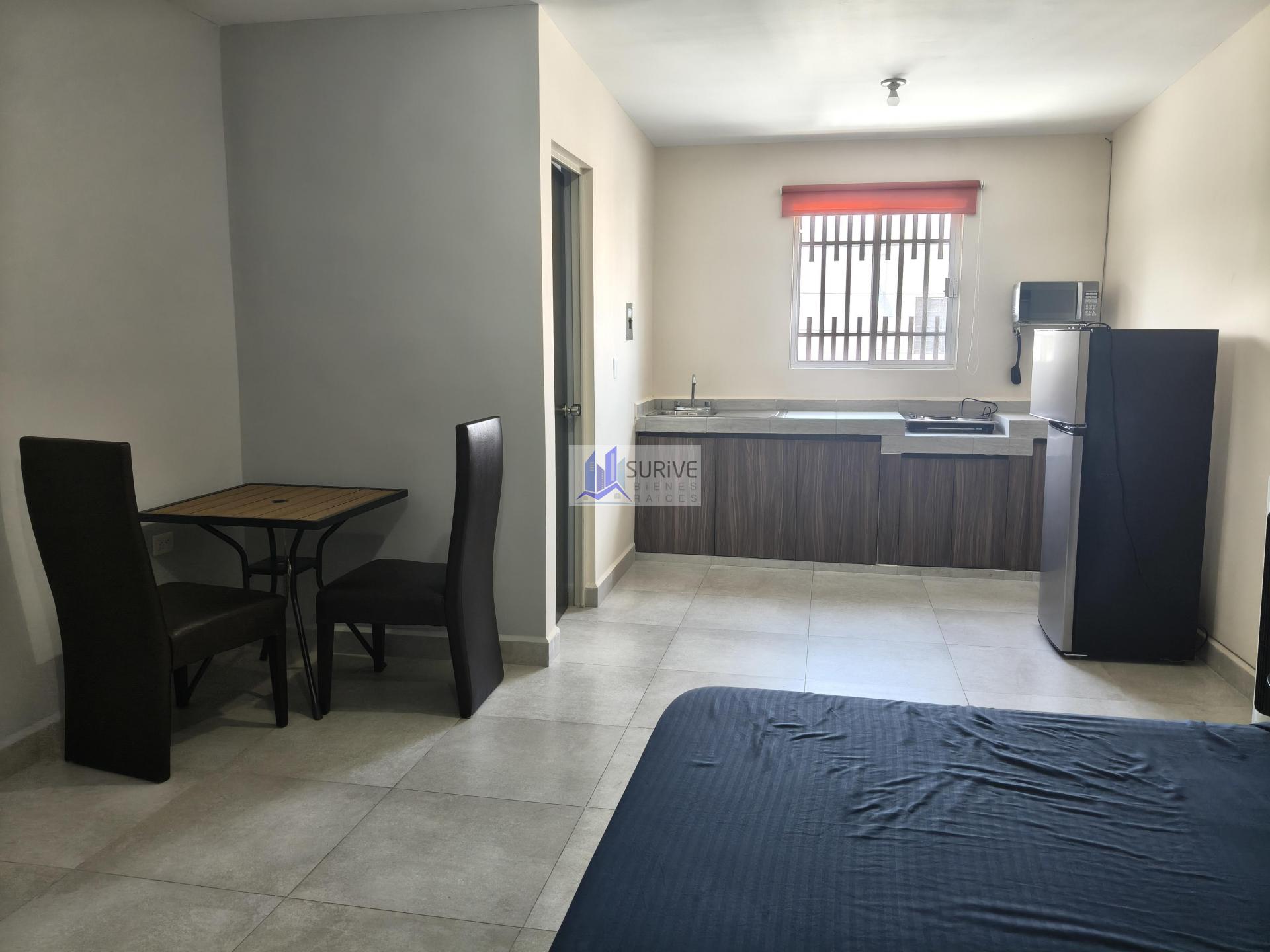 Renta de Departamentos Tipo Loft.