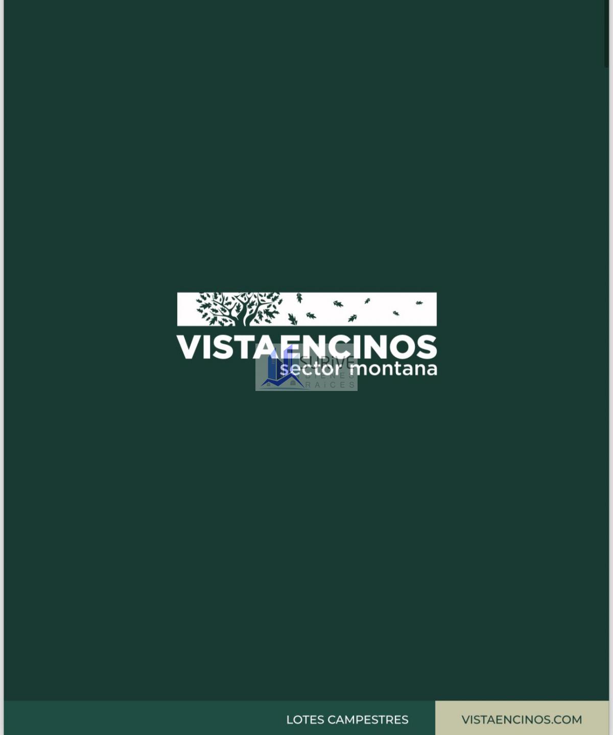 Vistaencinos