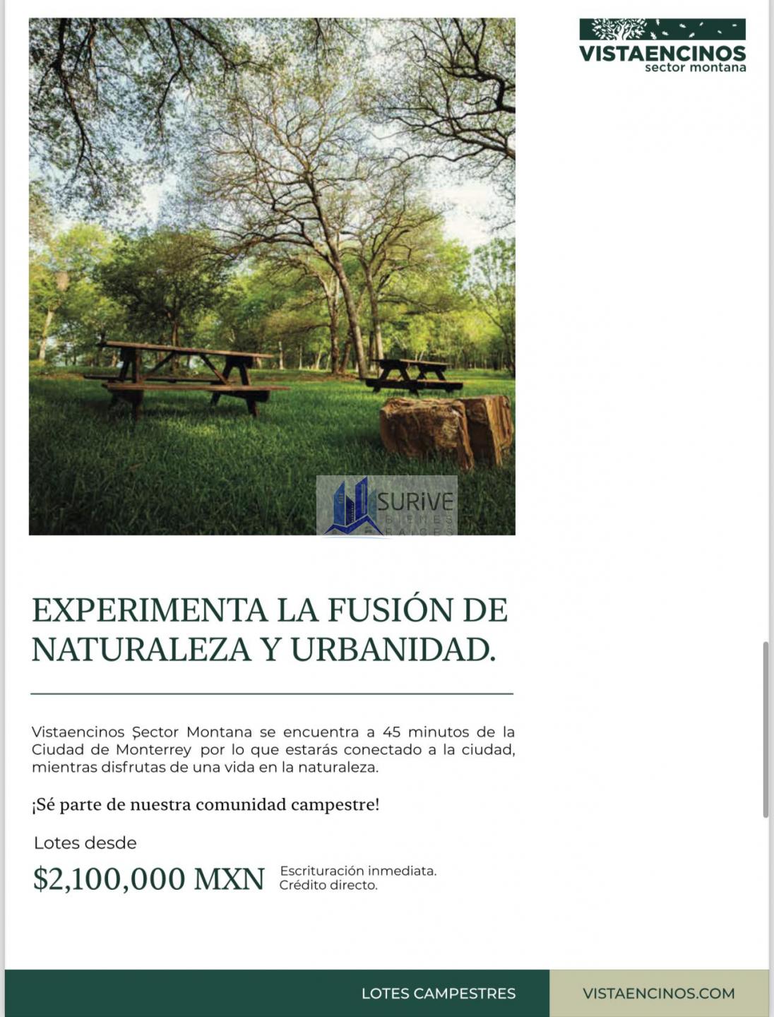 Vistaencinos